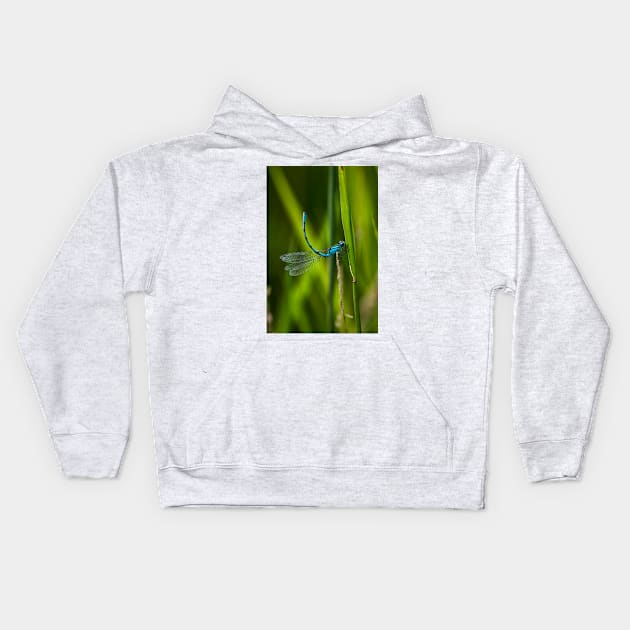 Common Blue Damselfly Kids Hoodie by Violaman